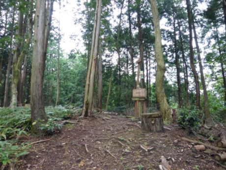 画像8